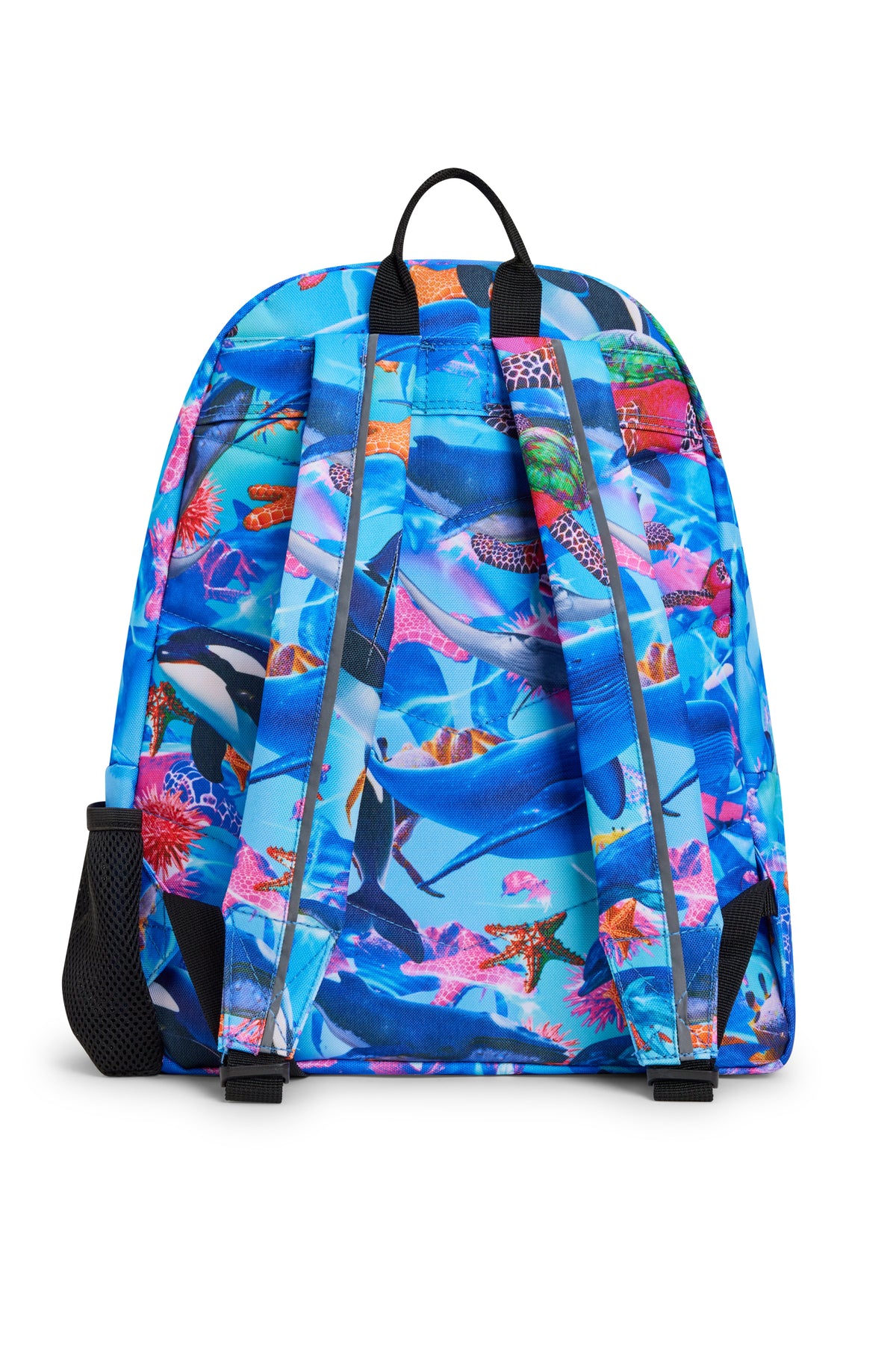 Hype Sea Life backpack interior — main compartment and front pocket detail