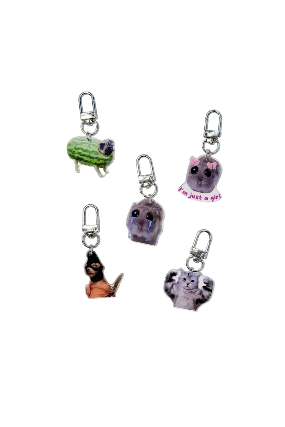 Cat Charms Assorted 2, Set of 5