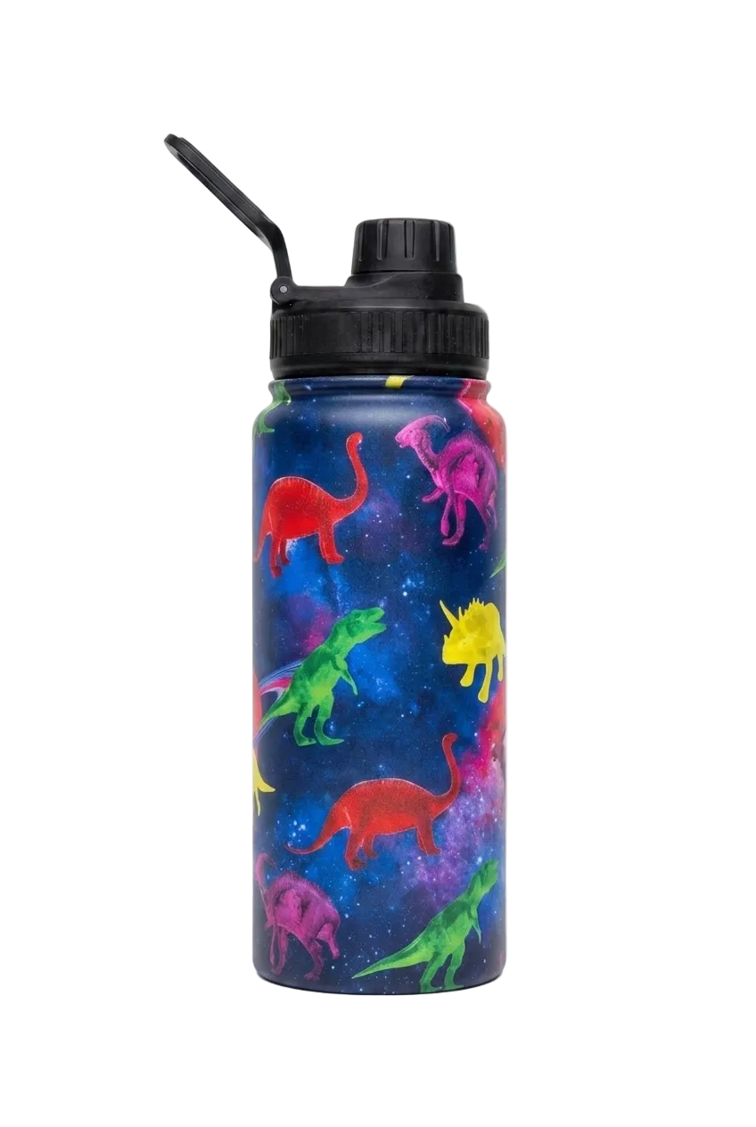 Insulated Bottle - 600ml Space Dinosaurs